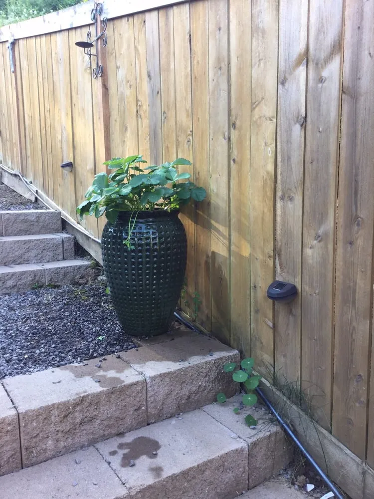 Professional lawn mowing service for residential properties across Camas, WA - Suncrest Landscaping & Design