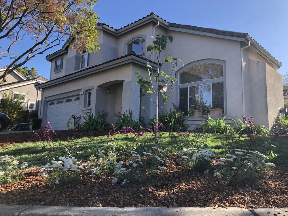 Local yard maintenance experts serving Danville, CA - SunCrest Landscaping & Hardscape