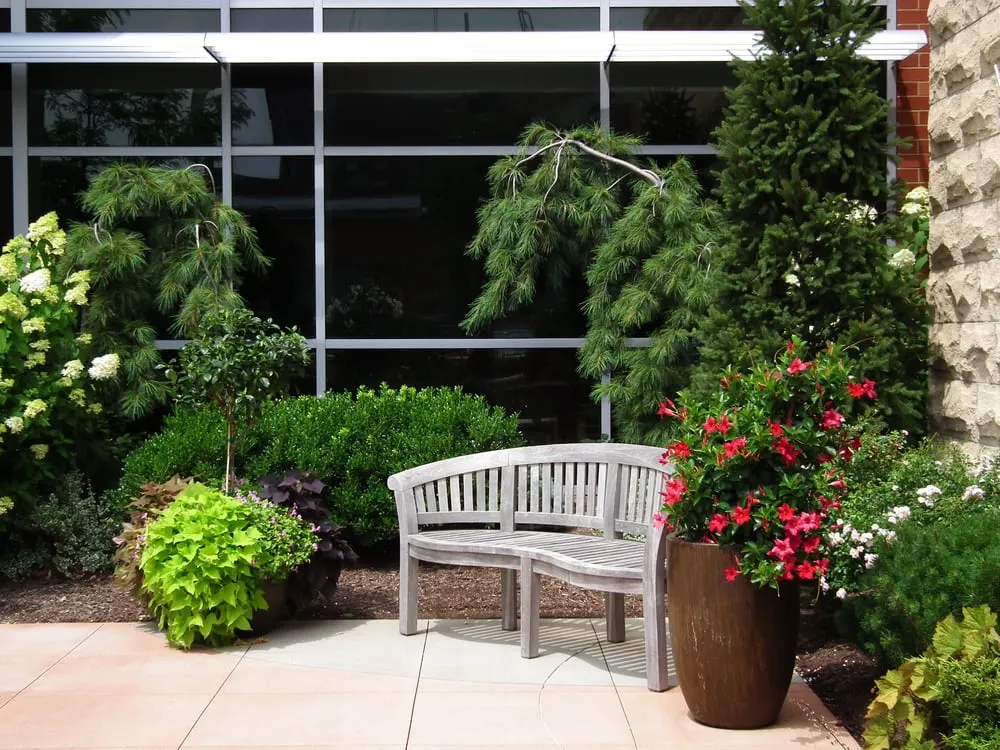 Affordable yard cleanup service with custom design in Peninsula, OH by Suncrest