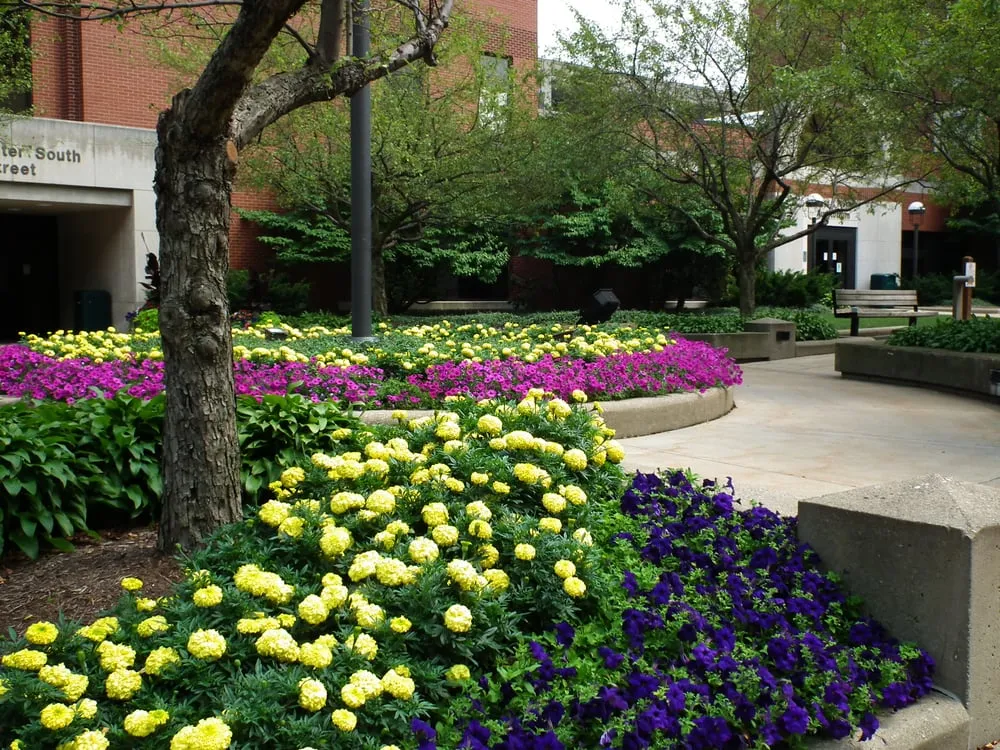 Top-rated landscaping services for residential properties across Peninsula, OH - Suncrest