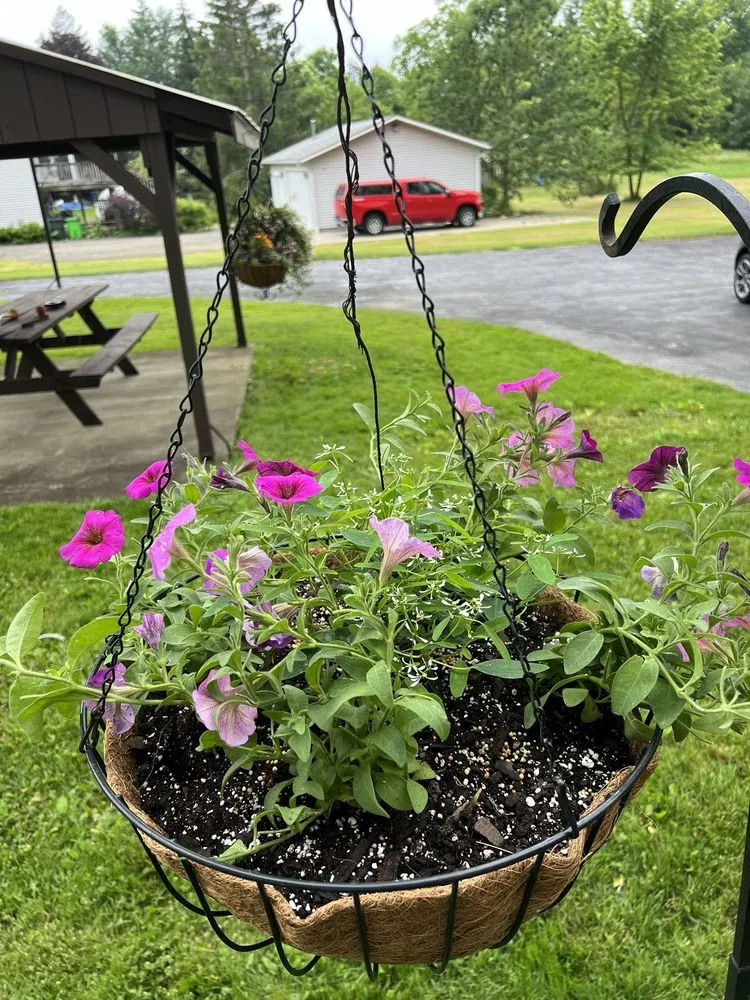 Reliable yard cleanup service for outdoor upgrades in Peninsula, OH by Suncrest