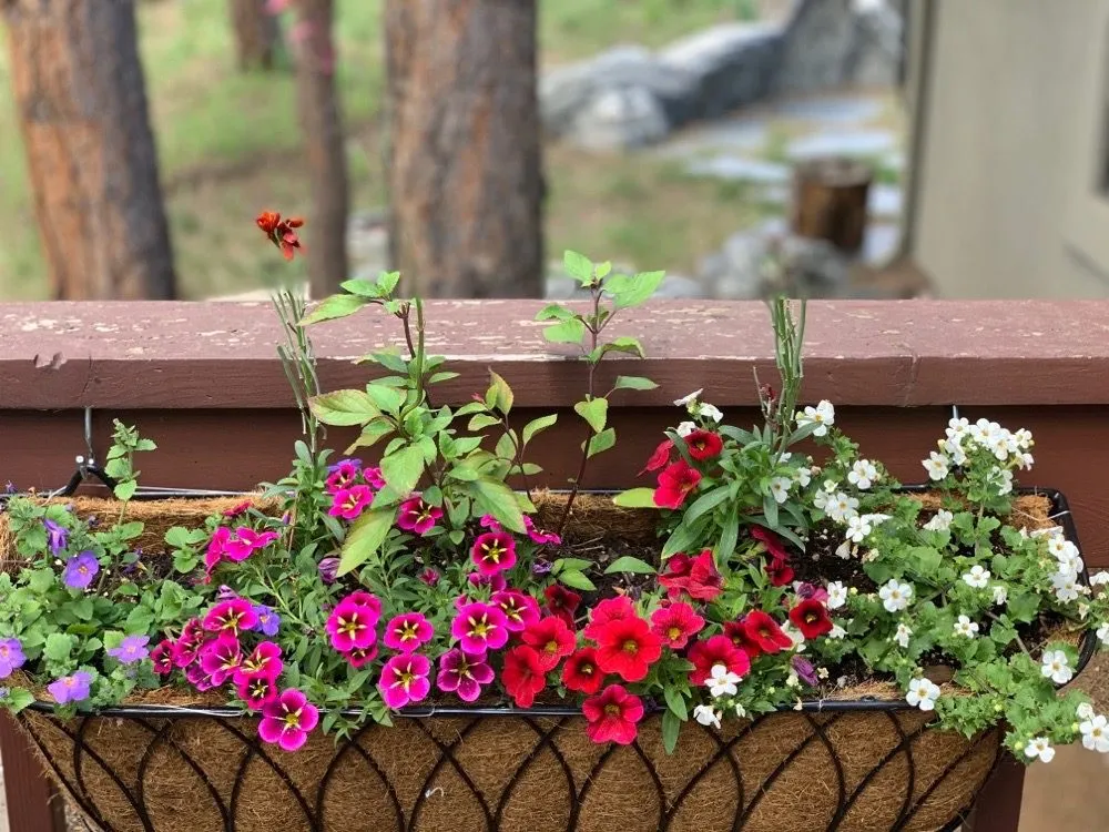 Local residential landscaping in Evergreen, CO - Sundance Garden & Landscaping