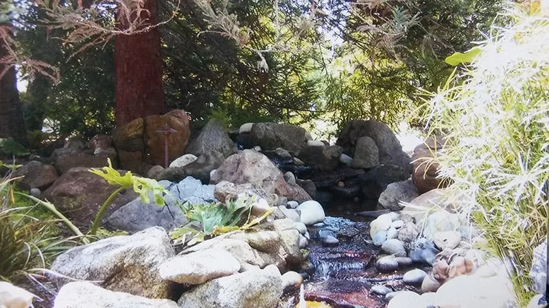 Trusted yard maintenance for beautiful yards in Royal Oaks, CA by Sundance Landscapes