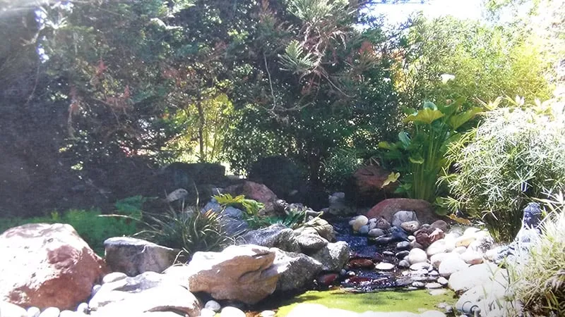 Top-rated outdoor landscaping in Royal Oaks, CA by Sundance Landscapes