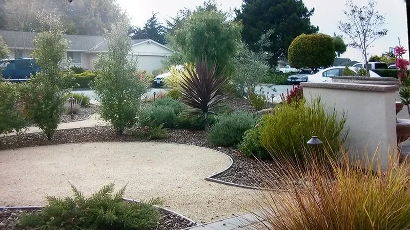 Trusted yard cleanup service with custom design across Royal Oaks, CA - Sundance Landscapes