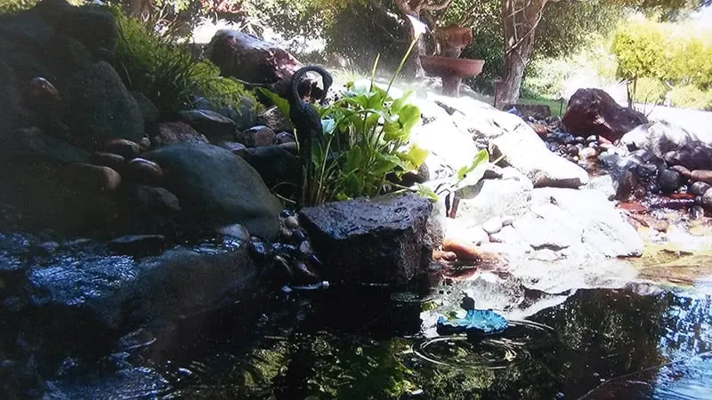 Trusted lawn mowing service experts serving Royal Oaks, CA - Sundance Landscapes