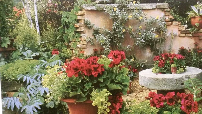 Professional lawn care service in Royal Oaks, CA by Sundance Landscapes