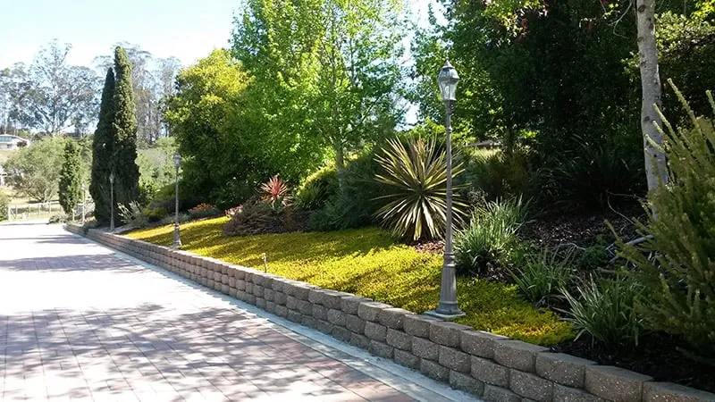 Professional yard cleanup service in Royal Oaks, CA by Sundance Landscapes