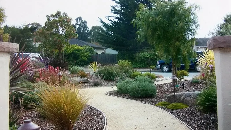 Top-rated lawn mowing service in Royal Oaks, CA by Sundance Landscapes