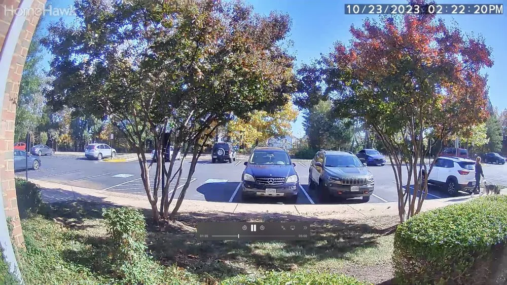 Top-rated lawn care service in Chantilly, VA by Sundance Lawn & Landscapes