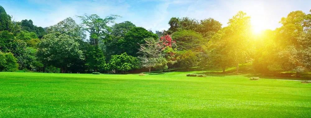 Top-rated yard cleanup service in Sturtevant, WI by Sundance Lawncare