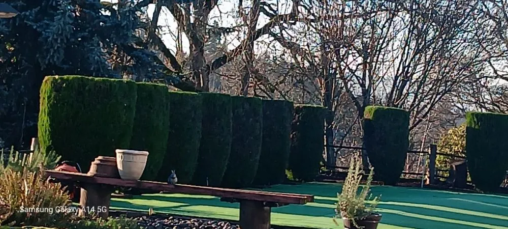 Professional lawn care service experts serving Vancouver, WA - Sunday Landscaping