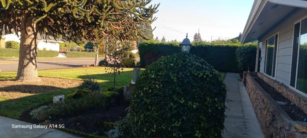 Expert lawn mowing service in Vancouver, WA - Sunday Landscaping