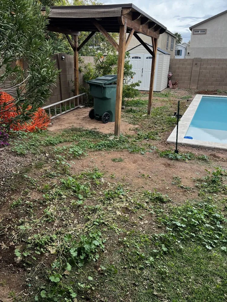 Custom lawn care service in Gilbert, AZ - Sundial Landscaping Solutions