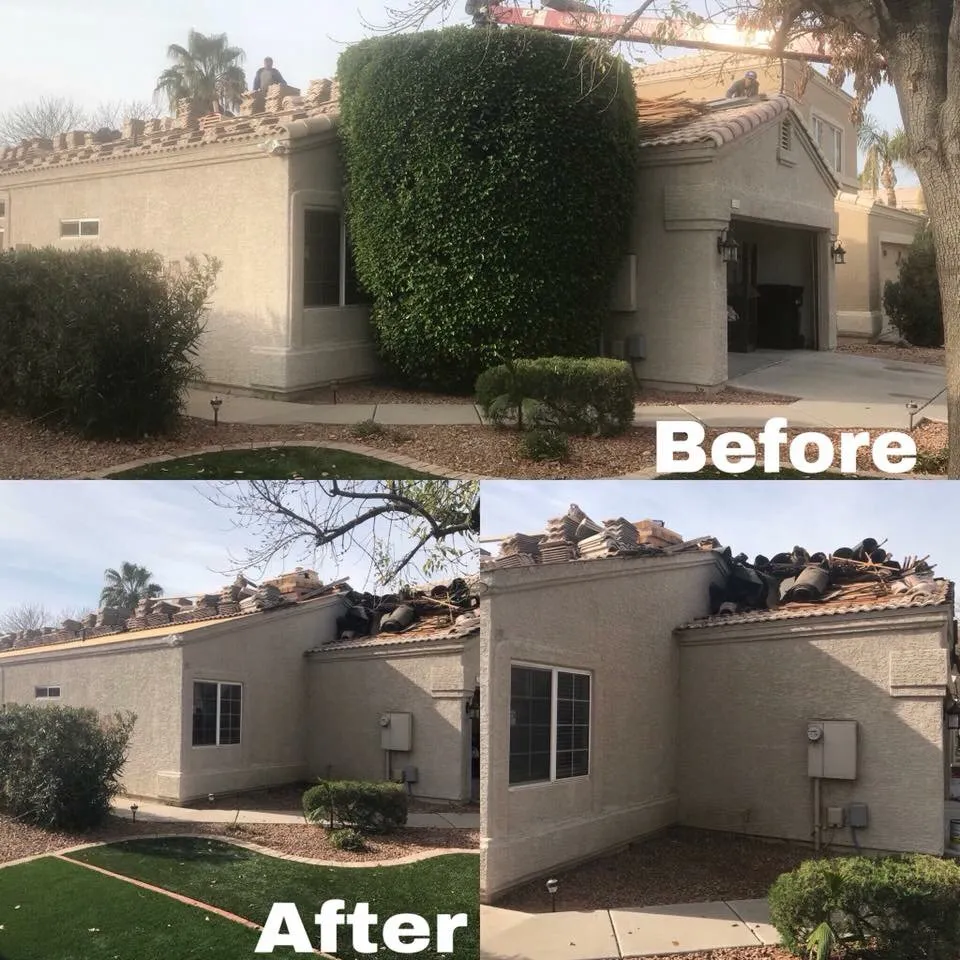 Custom landscape installation with custom design in Gilbert, AZ by Sundial Landscaping Solutions