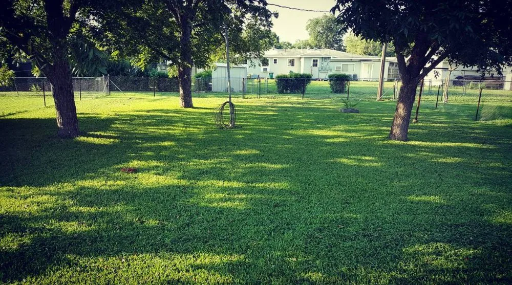 Reliable landscape installation in Tampa Bay, FL - Sundial Lawn Care