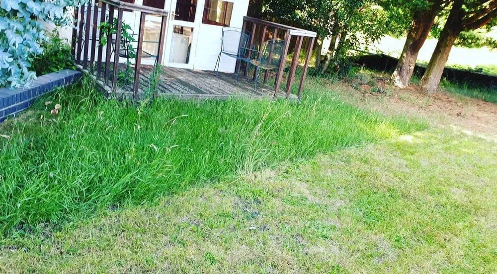 Top-rated landscape installation in Tampa Bay, FL - Sundial Lawn Care