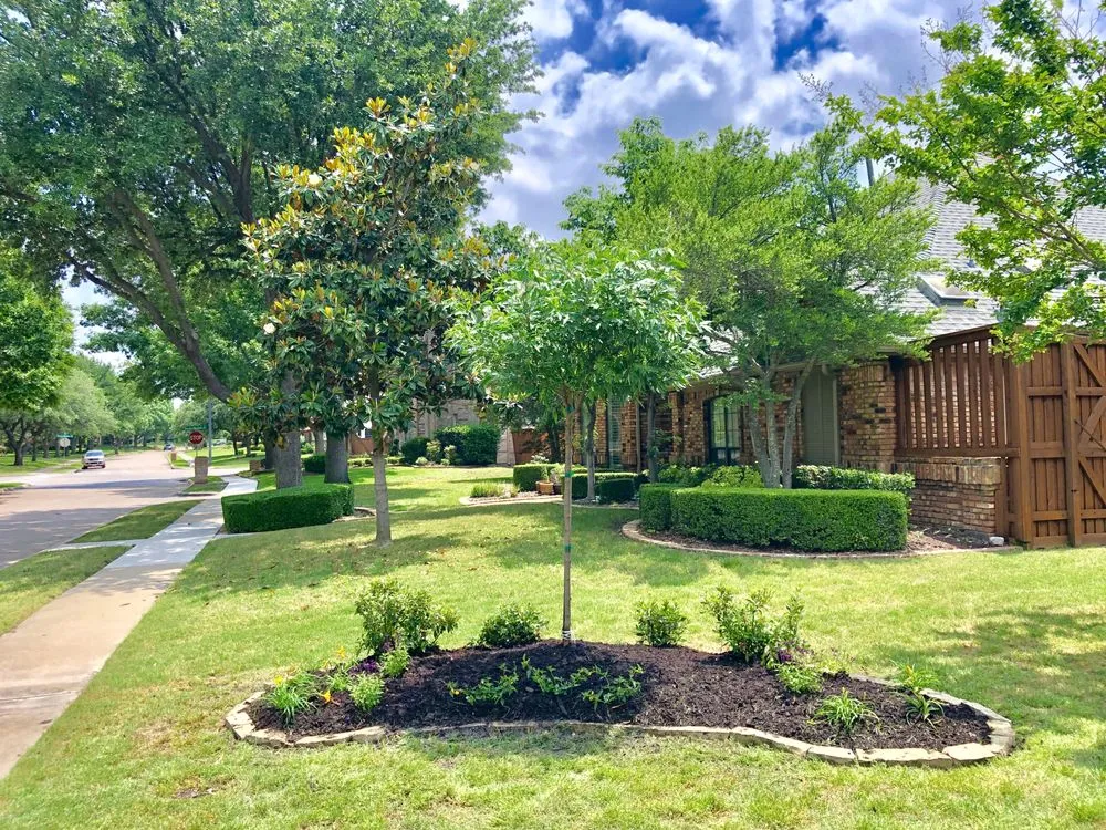 Professional landscape installation with custom design across Dallas, TX - Sundrop Gardens Landscaping