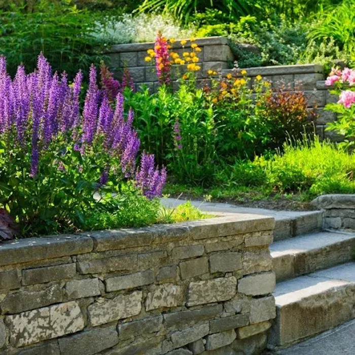 Professional landscaping services experts serving Dallas, TX - Sundrop Gardens Landscaping