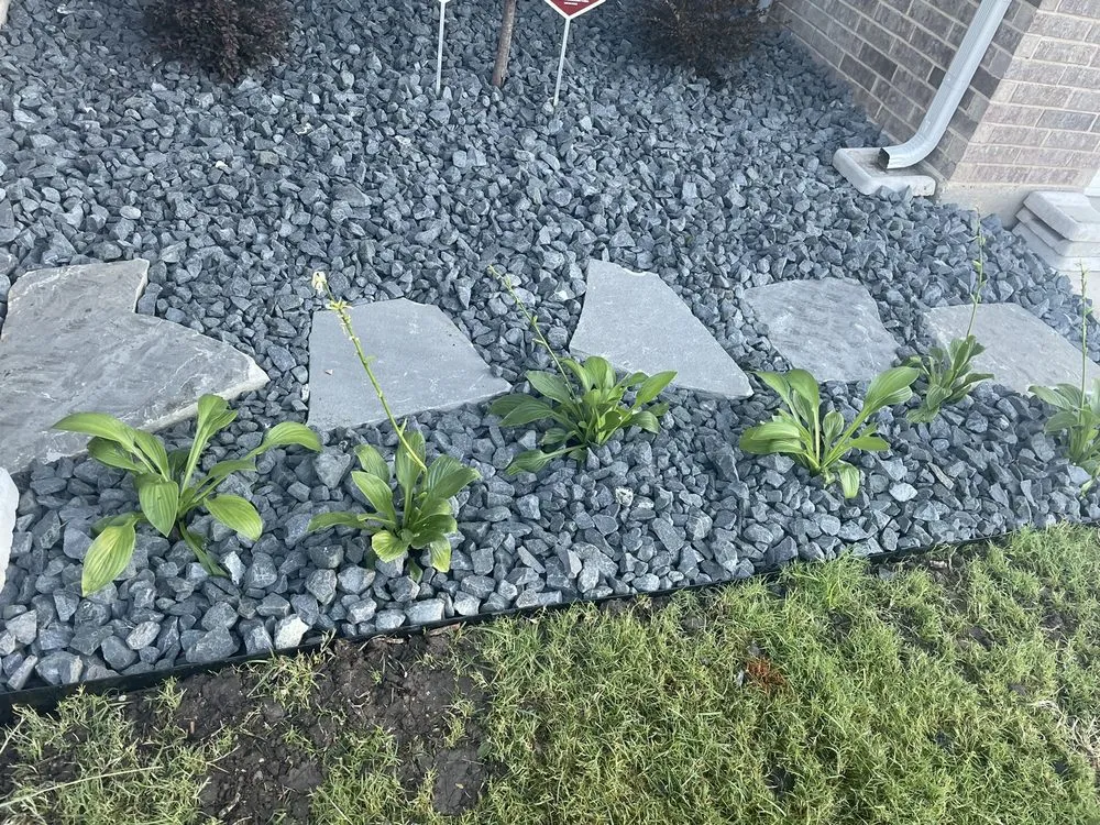 Reliable garden landscaping for year-round maintenance in Dallas, TX by Sundrop Gardens Landscaping