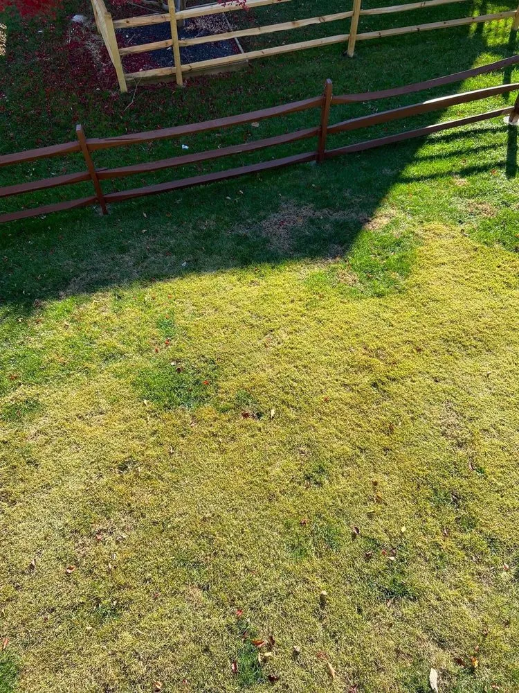 Professional yard maintenance for residential properties across Kingsville, MD - Sunfield Lawncare & Landscaping