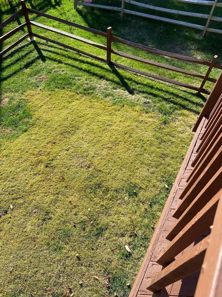 Trusted landscape design with custom design in Kingsville, MD by Sunfield Lawncare & Landscaping