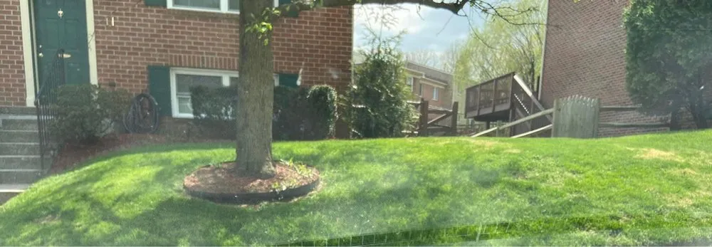 Top-rated yard cleanup service experts serving Kingsville, MD - Sunfield Lawncare & Landscaping
