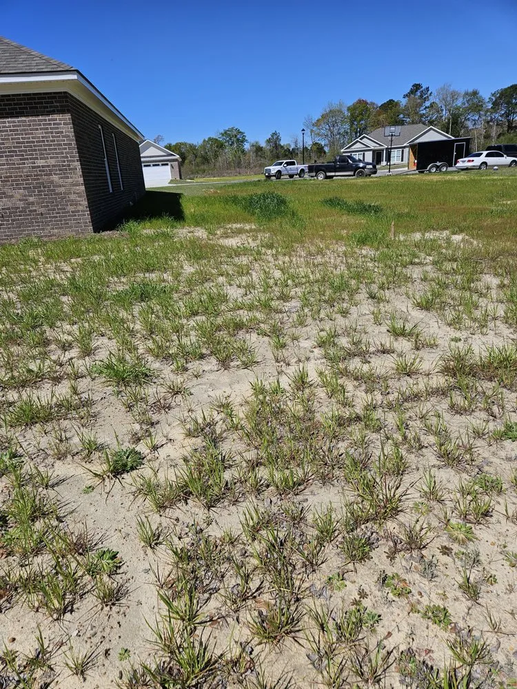 Custom garden landscaping for year-round maintenance in Statesboro, GA by Sunfield Services