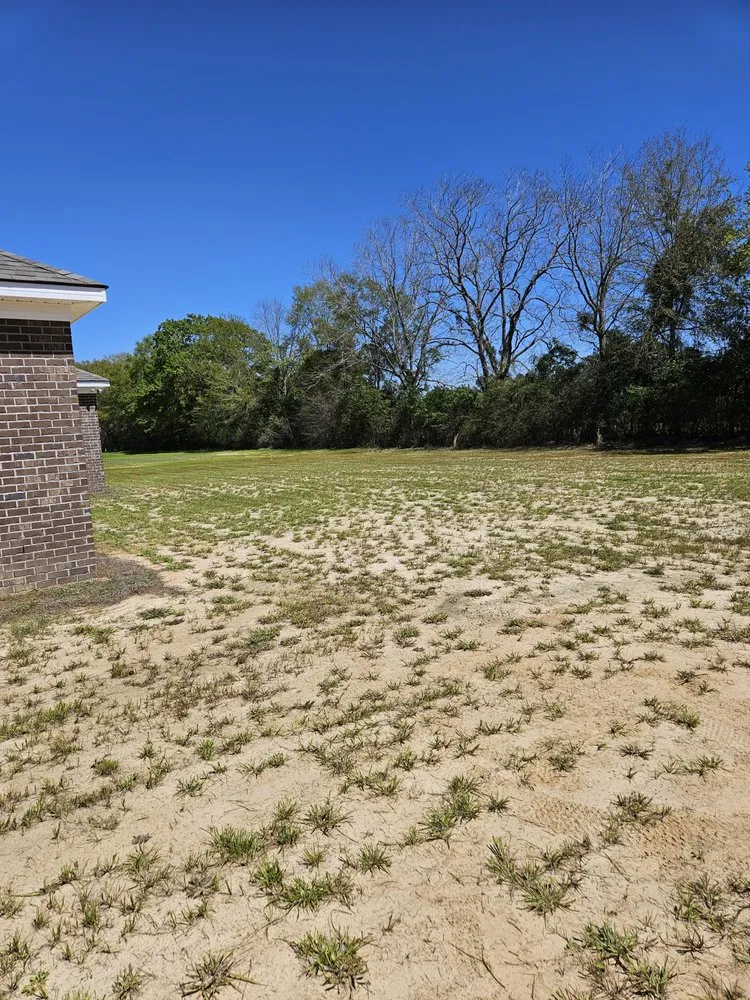 Trusted landscaping services for residential properties in Statesboro, GA by Sunfield Services