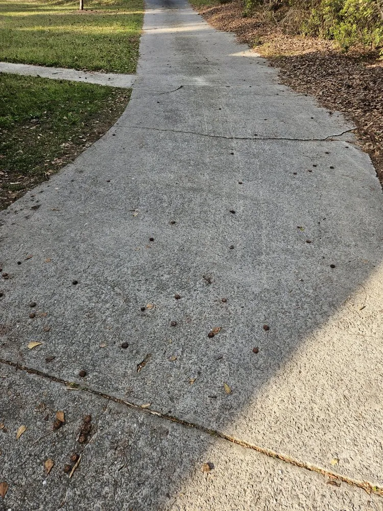 Local yard maintenance with custom design across Statesboro, GA - Sunfield Services