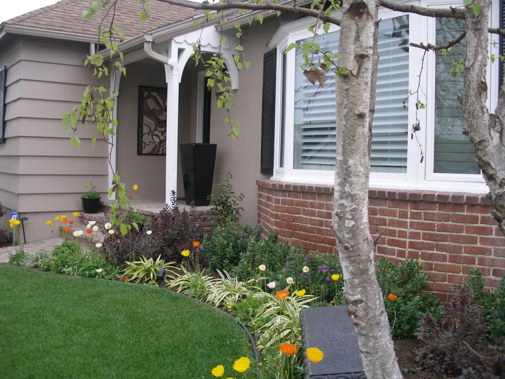 Expert lawn care service for homes across Marina Del Rey, CA - Sunflower Landscape