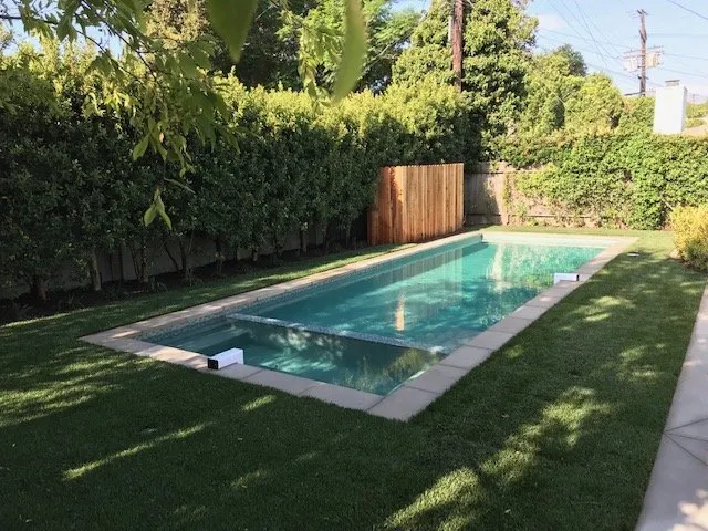 Local yard maintenance in Marina Del Rey, CA - Sunflower Landscape