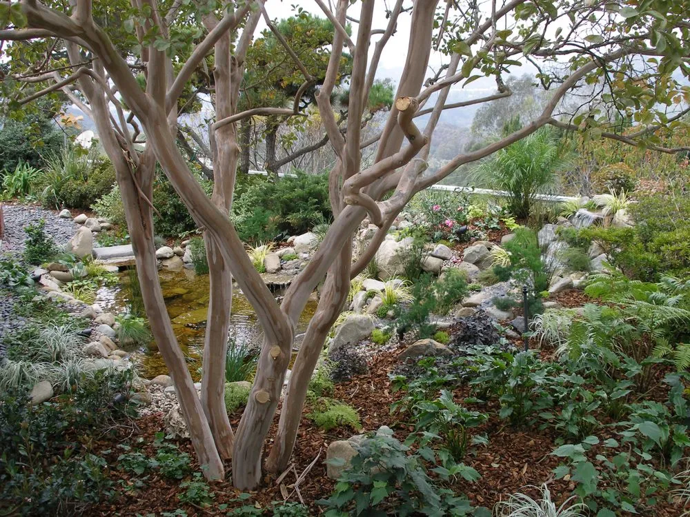 Expert landscaping services with custom design across Marina Del Rey, CA - Sunflower Landscape