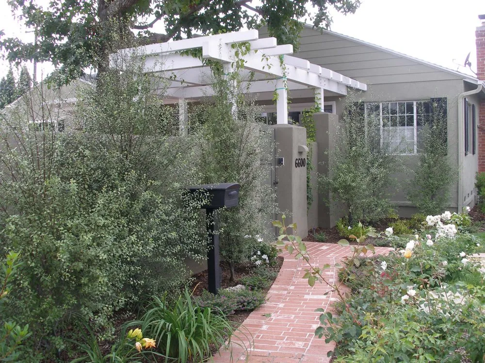 Reliable yard cleanup service experts serving Marina Del Rey, CA - Sunflower Landscape