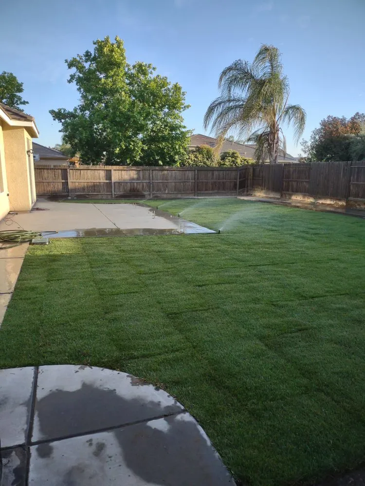 Professional lawn care service in Lindsay, CA - Sunflower Landscaping