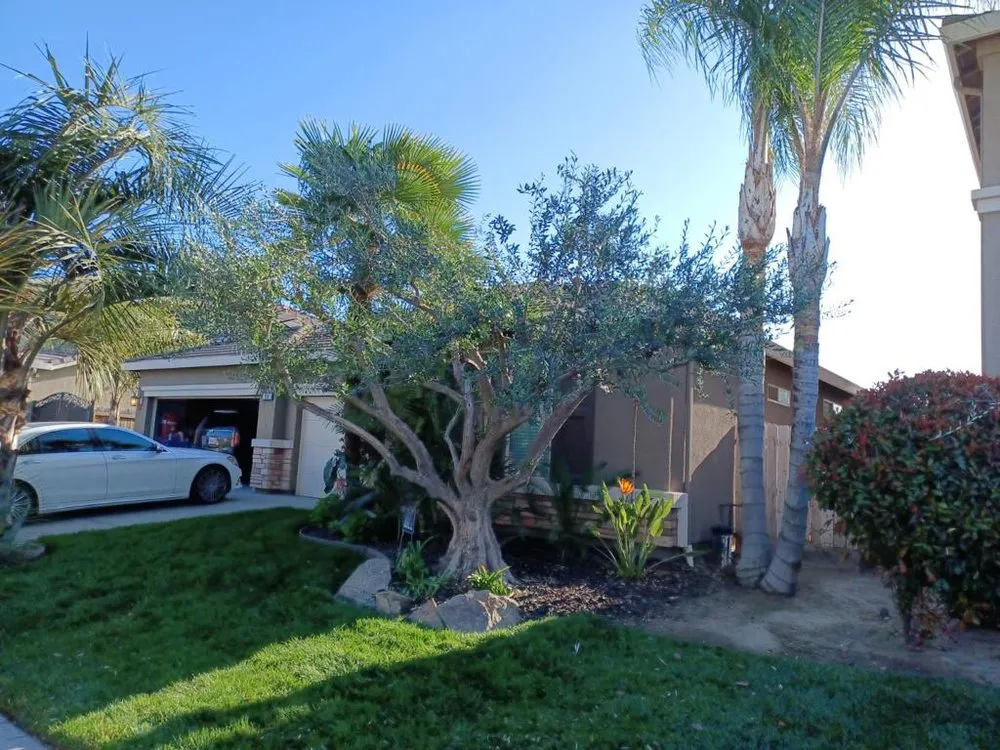 Custom lawn care service in Lindsay, CA by Sunflower Landscaping