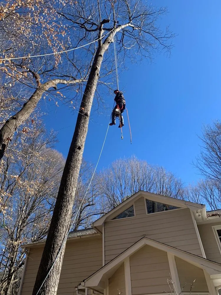 Expert lawn mowing service in Atlanta, GA by Sunflower Lawn Services