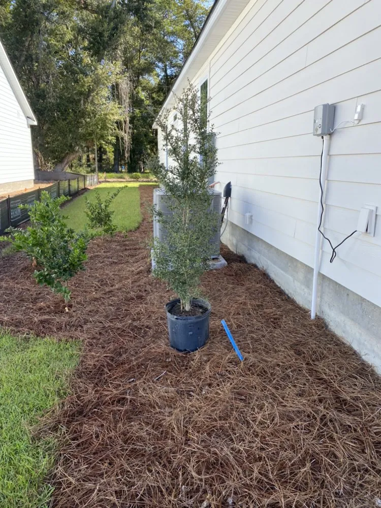 Reliable landscaping services in Ridgeland, SC by Sunflower Outdoor