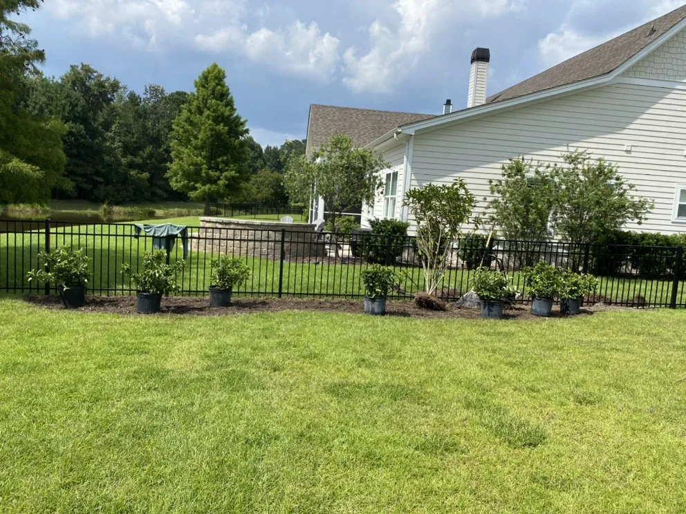 Affordable yard maintenance in Ridgeland, SC - Sunflower Outdoor