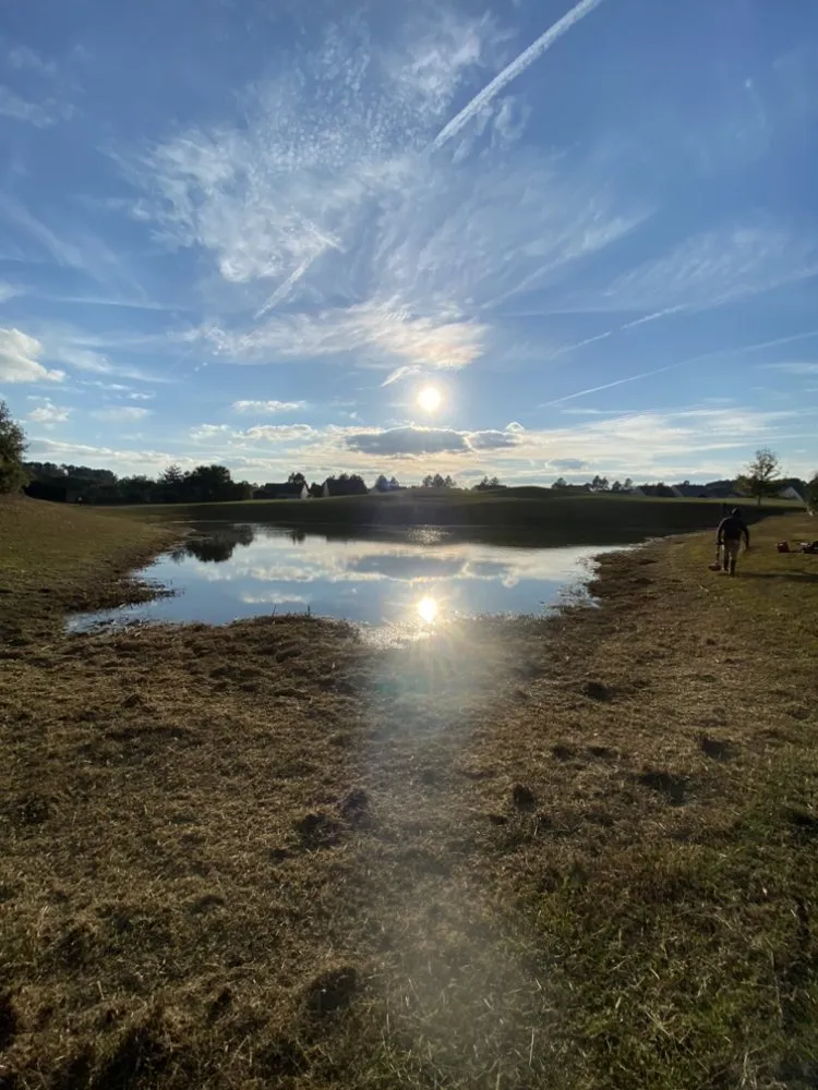 Affordable landscape design experts serving Ridgeland, SC - Sunflower Outdoor