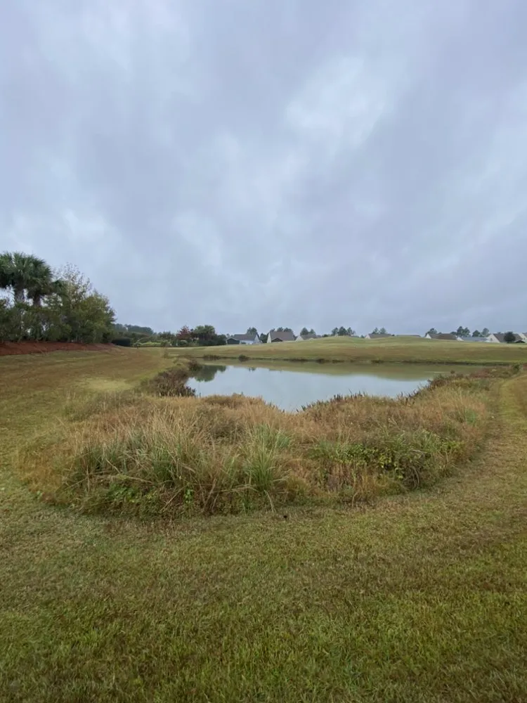 Affordable landscape design in Ridgeland, SC by Sunflower Outdoor