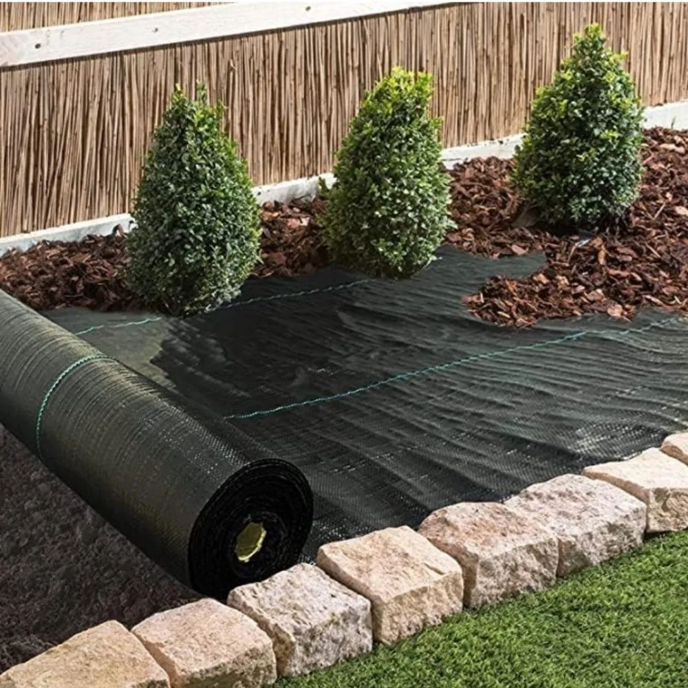 Top-rated yard maintenance experts serving San Leandro, CA - Sunflowers Gardener