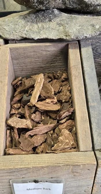 Affordable garden landscaping in San Leandro, CA by Sunflowers Gardener