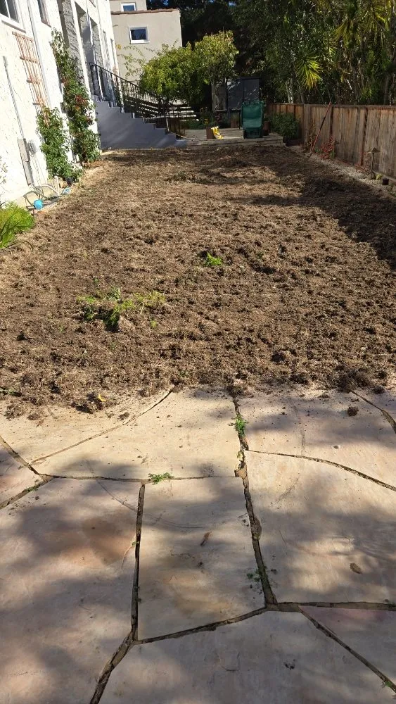 Reliable residential landscaping for year-round maintenance across San Leandro, CA - Sunflowers Gardener