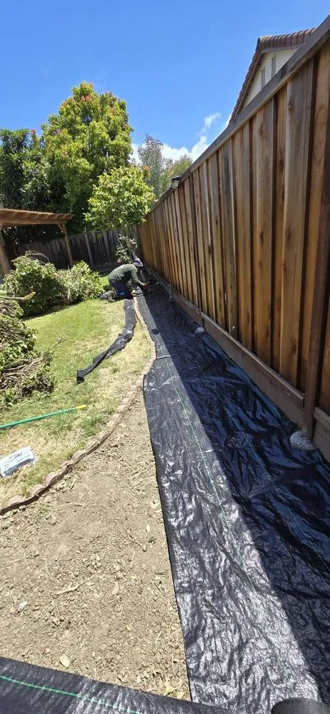 Local residential landscaping in San Leandro, CA by Sunflowers Gardener