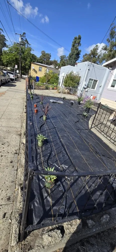 Expert landscape design experts serving San Leandro, CA - Sunflowers Gardener