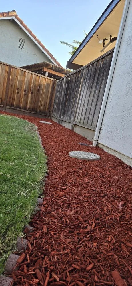 Custom lawn care service in San Leandro, CA - Sunflowers Gardener