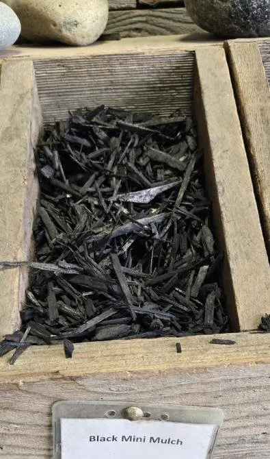 Local outdoor landscaping for outdoor upgrades in San Leandro, CA by Sunflowers Gardener