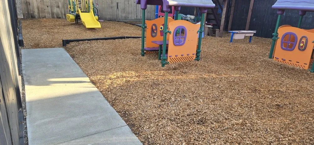 Affordable yard cleanup service for beautiful yards in San Leandro, CA by Sunflowers Gardener