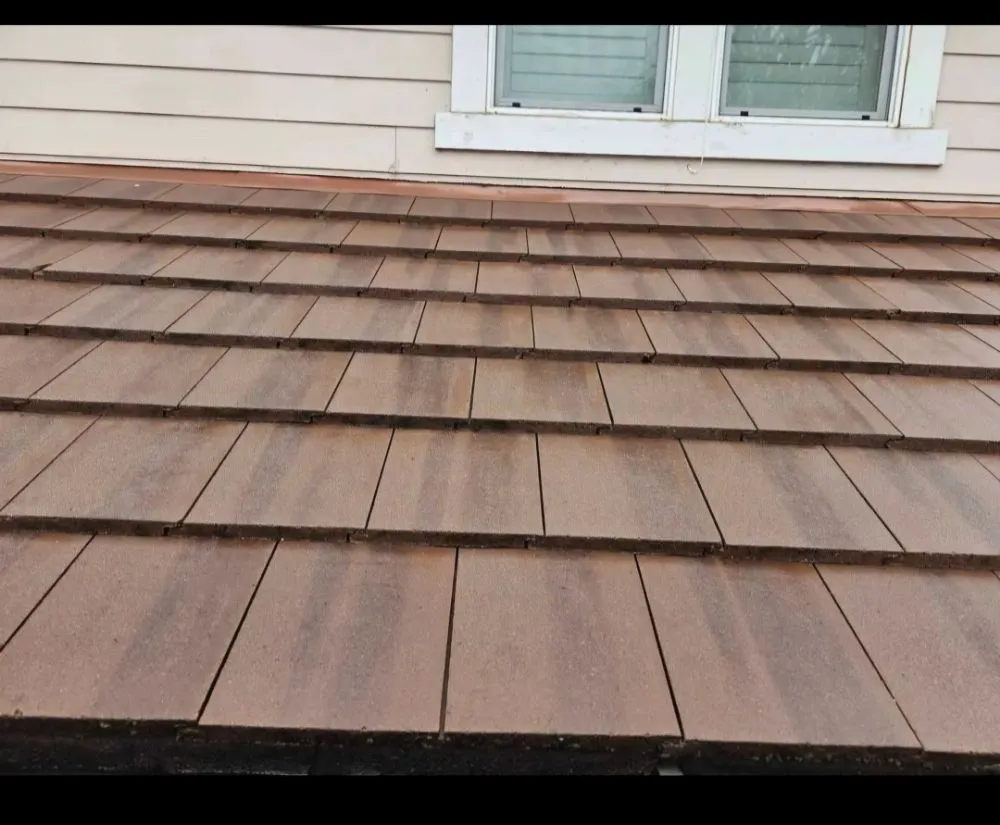 Custom landscaping services experts serving San Leandro, CA - Sunflowers Gardener